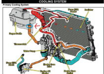 Ford 4.6 Coolant Flow Diagram
