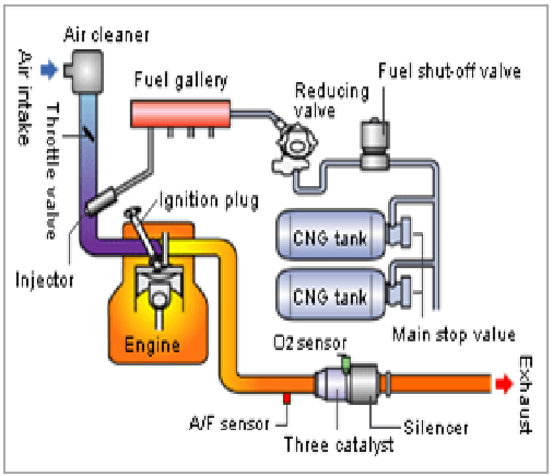 Cng Engine Diagram 1