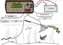 Fish Shocker Circuit Diagram