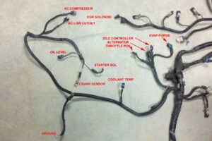 1997 5.7 Vortec Wiring Harness Diagram